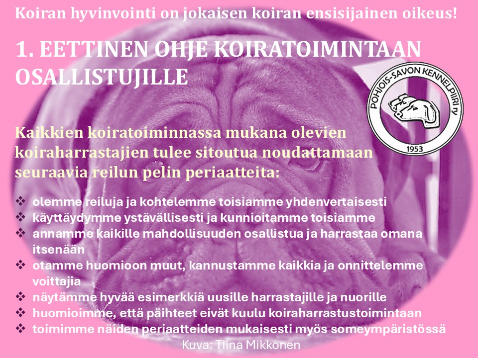 eettiset ohjeet