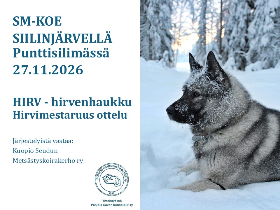 Hirvimestaruus 2026 ottelu