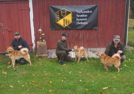 lint pm kolmikko2026