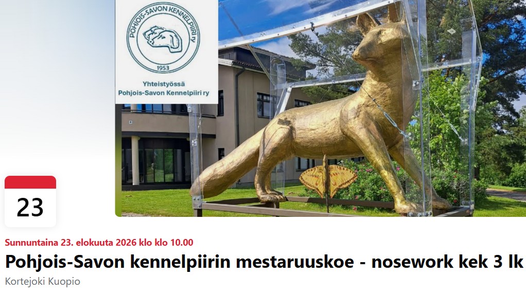 nose pm2026