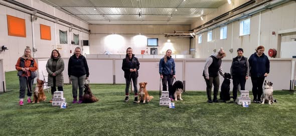pm rallytokojoukkue2026